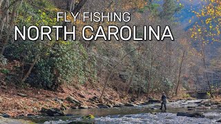 Euro Nymphing for Lots of Trout on the Nantahala River  Fly Fishing North Carolina [upl. by Nnaillij]