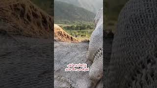 Parachina Fight Parachinar Jung 25072024 [upl. by Aknahs]