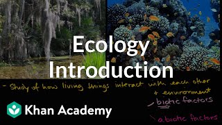 Ecology introduction  Ecology  Khan Academy [upl. by Buckels997]