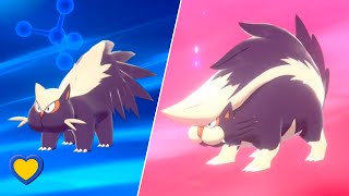 HOW TO Evolve Stunky into Skuntank in Pokémon Sword and Shield [upl. by Fugazy114]