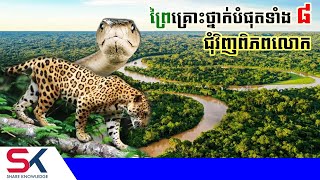 ព្រៃដ៏គ្រោះថ្នាក់បំផុតចំនួន ៨ នៅជុំវិញពិភពលោក [upl. by Etnohc561]