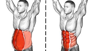 Abs Workout Abdominal Exercises [upl. by Ekusuy]