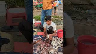 Amazing Big Poti Fish Super First Cutting fish fishcutting youtubeshorts [upl. by Carmena]