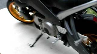 2004 Buell XB12S startup and walkaround [upl. by Laeahcim83]