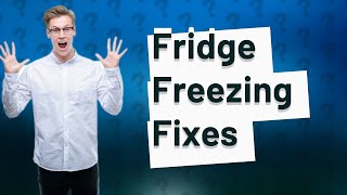 Why is the inside back of my fridge freezing up [upl. by Sarah]