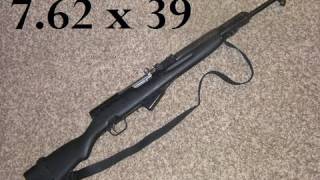 SKS RIFLE  THE BEST KEPT SECRET [upl. by Harelda]