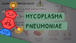 Mycoplasma Pneumoniae [upl. by Mauro]