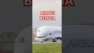 Facts About Airbus Beluga  পৃথিবীর সবথেকে বড় বিমান [upl. by Kilian]