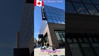 3 night stay at The Westley Hotel in Calgary thewestleyhotel hiltonhotels calgary Canada [upl. by Kamp746]