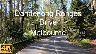 Drive In Dandenong Ranges  Melbourne Australia  4K UHD [upl. by Lasyrc]