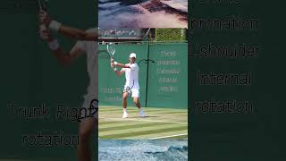 Backhand motion analysis by Djokovic tennis djokovic usopen [upl. by Emarej]