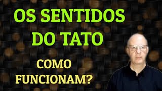 Os sentidos do tato Como funcionam [upl. by Codd799]