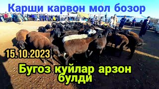 Карши Карвон мол бозори нархлари 15102023 й [upl. by Hoopen]