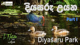 Diyasaru Wetland Park දියසරු තෙත් බිම [upl. by Grissel672]