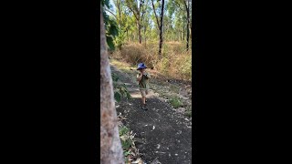 Wandering through Kakadu National Park [upl. by Wilbur79]