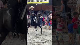 Cabalgata Puerto Quito [upl. by Yuma439]