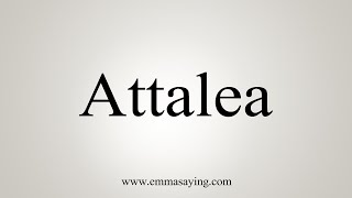 How To Say Attalea [upl. by Turino307]