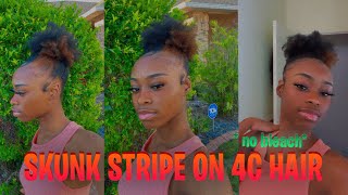 Dyeing a Skunk Stripe on My 4C Hair 💇🏾‍♀️🔥 No Bleach  ThatsSoNae skunkstripe [upl. by Killen984]