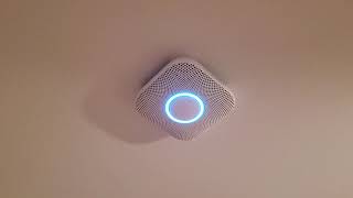 Nest Protect Test [upl. by Akili]