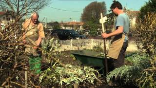 Ecomatisme  Le jardin en lasagnes [upl. by Onid]