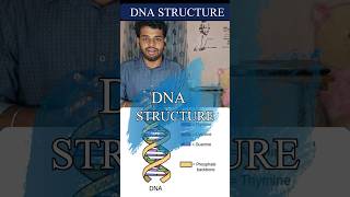 Dna structurewatson and crick modeltamilnotesnucleotidedeoxyribose nucleic aciddouble helix [upl. by Noitsirhc692]