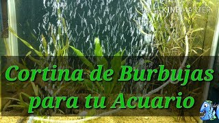 Como hacer una Cortina de Burbujas para tu acuario super fácil DIY [upl. by Nanreh869]