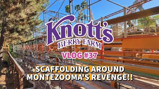 Scaffolding Around Montezoomas Revenge  Camp Snoopy Work  Knotts Berry Farm Vlog 37  61524 [upl. by Enylodnewg]