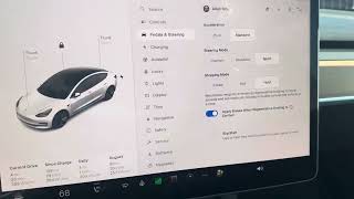 How to adjust the feel of Pedals amp Steering in a Tesla Vehicle based on Tesla Model 3Y [upl. by Selyn]