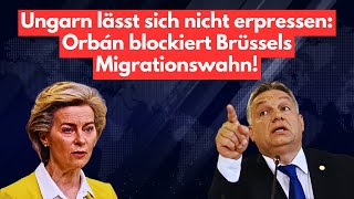 Victor Orbán verteidigt Europas Grenzen Wie Ungarn den EUMigrations Plänen trotzt [upl. by Eecram]