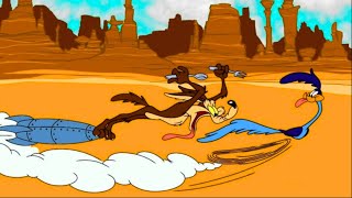 Coyote Liberals Incredibly Frustrated by Road Runner Trump [upl. by Carolee275]