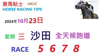 HKJC「賽馬貼士」🐴 2024年10月23日 星期日 沙田 🐴 香港賽馬貼士 HONG KONG HORSE RACING TIPS 🐴 RACE 5 6 7 8 [upl. by Forest]