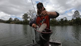 Mary River Fishing  Pre Fishing for QFFT at Petrie Park Tiaro [upl. by Oranneg]