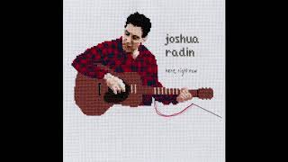 Joshua Radin  Here Right Now Official Audio [upl. by Fiona]