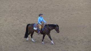 Judges Perspective Rookie Ranch Riding [upl. by Twyla303]