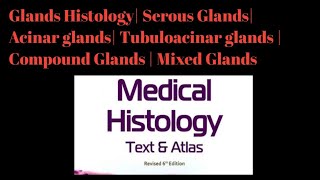 Glands Histology Serous Glands Acinar glands Tubuloacinar glands  Compound Glands  Mixed Glands [upl. by Ynahteb996]