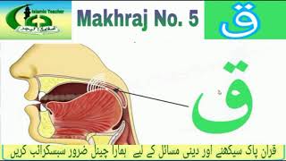 Makhraj No 5  Makhraj of Qaaf  Qaaf ka makhraj [upl. by Joash732]