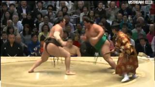 Haru16 Day 08 Yoshikaze vs Hakuho [upl. by Ecad38]