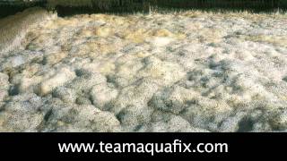 Reducing Foam In A Wastewater Treatment Plant [upl. by Anigar]