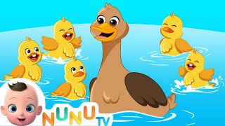 Five Little Ducks Went Out One Day  Kids Songs amp Nursery Rhymes  NuNu Tv [upl. by Leirud]