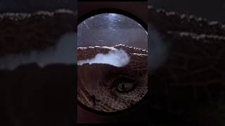 The Jurassic Park  “Timmy What is it” “It’s a Velociraptor”  Episode 4 [upl. by Caritta523]