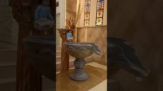 BAPTISM The Best Gift of Jesus Believer Received at the Baptistry [upl. by Anail]