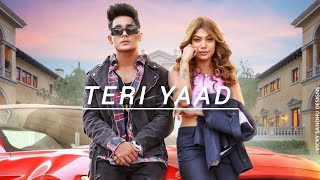 Teri Yaad  Rohit  New Punjabi Song  2024 [upl. by Aissila]