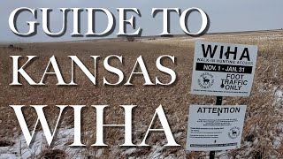 Finding Success on Kansas WIHA  How to pick the right fields for pheasant and quail [upl. by Schulz]