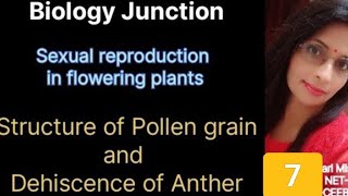 Sexual Reproduction in flowering Plant Structure of Pollen grain and Dehiscence of Anther [upl. by Aizat]