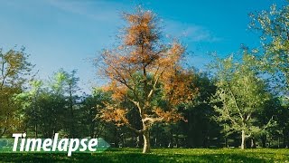 Creating a Realistic Nature Scene  Blender Timelapse [upl. by Conard827]