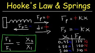 Hookes Law and Elastic Potential Energy [upl. by Veats942]