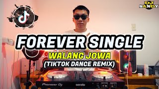 FOREVER SINGLE  Walang Jowa TikTok Disco Dance  Dj Sandy Remix [upl. by Atteuqahs]