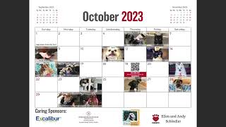 2023 Pet Calendar [upl. by Dnilazor]