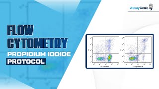 Flow Cytometry Propidium Iodide Protocol [upl. by Nosittam]