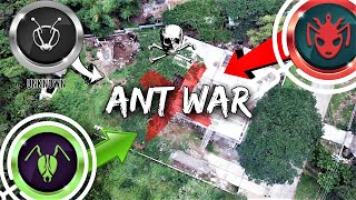 Theres a Massive ANT WAR Happening in My Backyard  The Battle for Antopia [upl. by Stone]